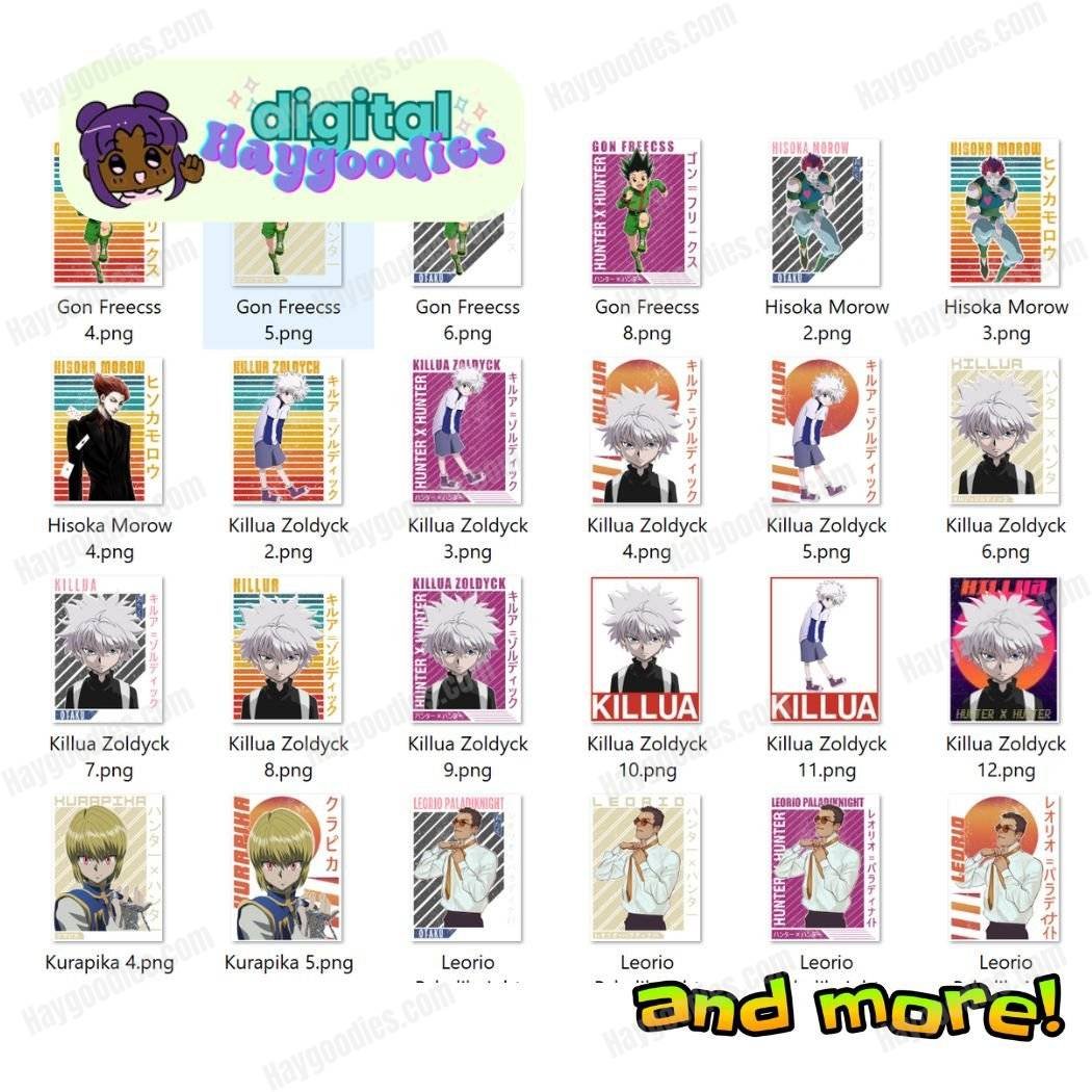 Hunter x Hunter Anime Bundle Digital Download