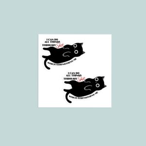 Funny black cat vinyl sticker sheet with text I can do all things through spite which strengthens me in black white and red