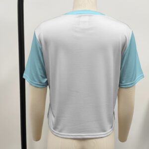 Cinnamoroll crop top kawaii Sanrio graphic Japanese text blue sleeves